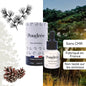 Coffret – Bougie parfumée, Élixir, Récipient, Briquet et Éteignoir – Poudrée Paris