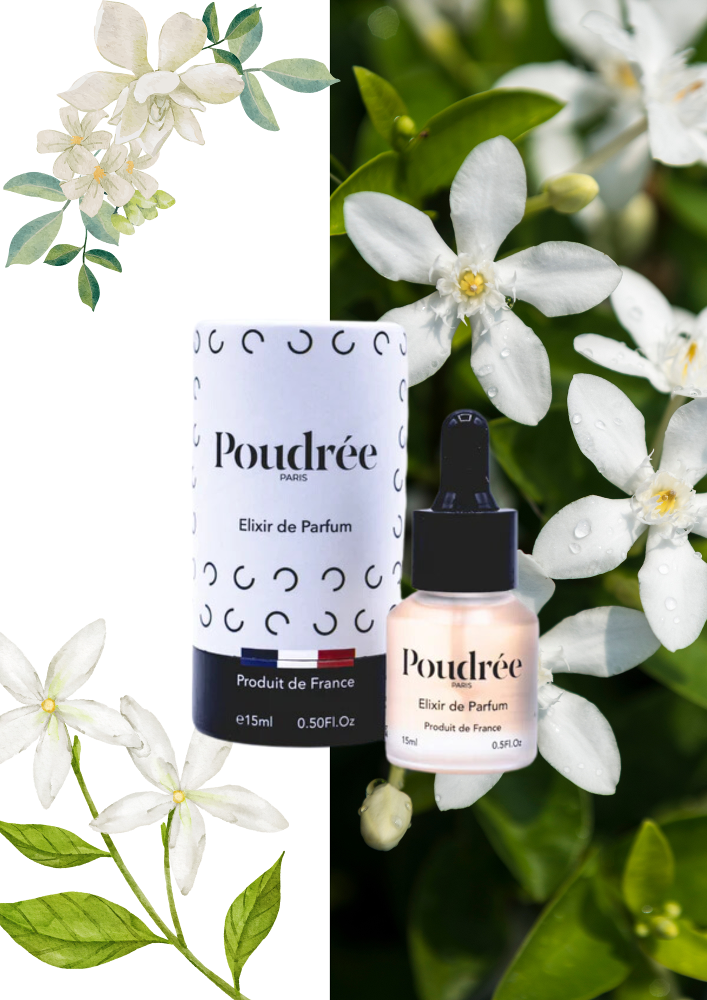 Élixir de Parfum pour Bougie – Poudrée Paris – 15 ml