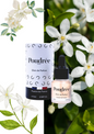 Élixir de Parfum pour Bougie – Poudrée Paris – 15 ml