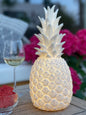 Lampe Piñacolada™ – Design Ananas – LED Multicolore Rechargeable – Goodnight Light