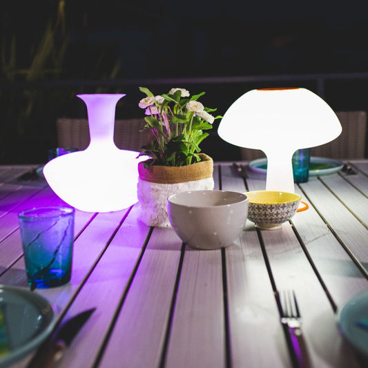 photo des la lampes allumées en position carafe et en position lampe