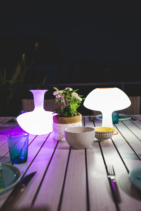 LOOP / LAMPE CARAFE ET VASE 3 EN 1